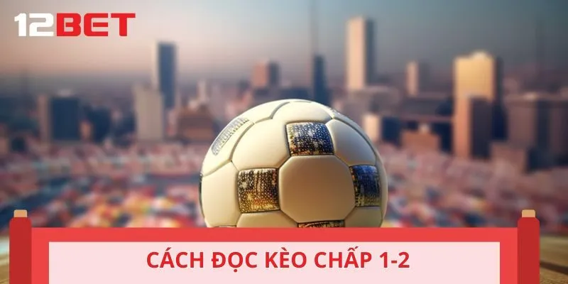 Cách đọc kèo chấp 1-2 chuẩn cho người mới chơi