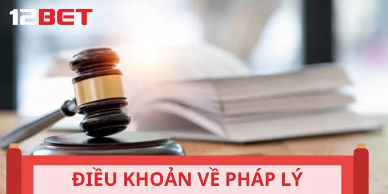 Điều khoản chi tiết về các trách nhiệm pháp lý