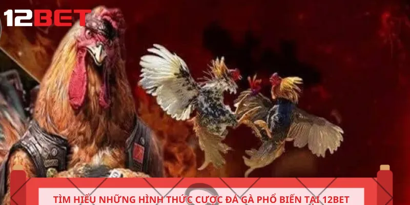Tìm hiểu những hình thức cược đá gà phổ biến tại 12BET.